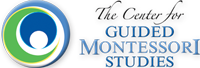 CGMS Logo